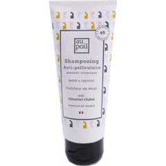 Au Poil Champú Anticaspa 100 ml