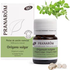 Pranarom Oregano Vulg Bio Perl 60