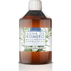 Terpenic Rosemary Camphor Water Camphor Hydrolate Bio 500ml