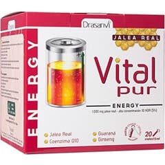Drasanvi Vitalpur Royal Jelly Energy 20udsx15ml
