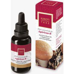 Hiranyagarba Karoti-Take Agáricus-B 30ml