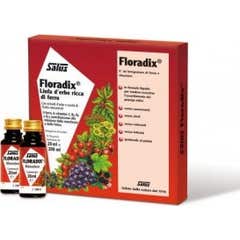 Floradix-Ferro 10 Flaconcini20Ml