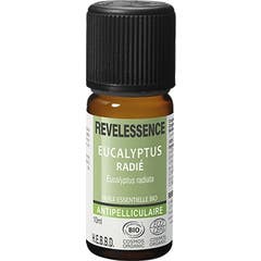 Revelessence Olio Essenziale Eucalipto Radiato 10ml