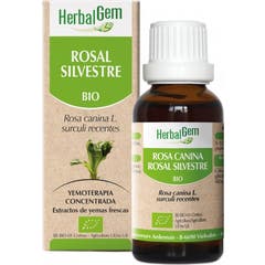 HerbalGem Escaramujo 15 ml