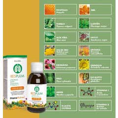 Prisma Natural Solución Respulm 250ml