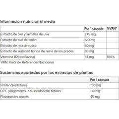 Arkopharma Venoforte Cápsulas Piernas Ligeras 30caps Arkopharma Venoforte Cápsulas Piernas Ligeras 30caps