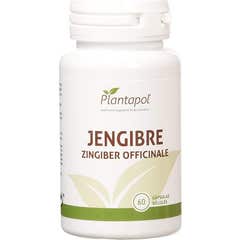 PlantaPol Ginger 600mg 60caps