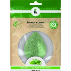 Plic Beauty Éponge Konjac Visage Aloe Vera