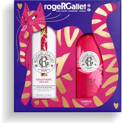 Roger & Gallet Geschenkset Wohlfühl-Duftwasser Ingwer Rouge 100ml + Körperlotion