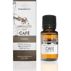 Terpenic Etherische Olie Absolute Koffie 30ml