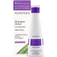Pflanzgefäß'S Süße Aloe V Shampoo