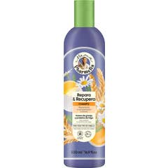 Mama Pharmelia Champú Repara y Recupera Todo Tipo de Cabello 500 ml