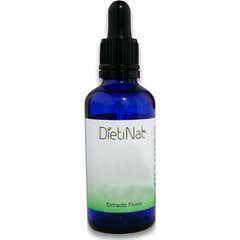 Dietinat Extracto Ginkgo Biloba 50ml