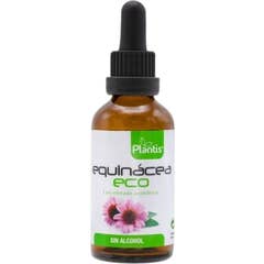 Plantis Echinacea 50ml