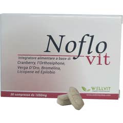 Wellvit Noflovit 30comp