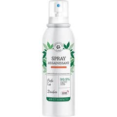 Giphar Desinfektionsspray 200 ml