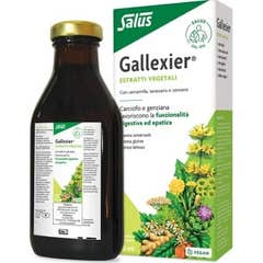 Salus Floradix Gallexier® fórmula herbal 250ml