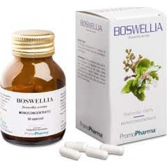 Boswellia 50Cps