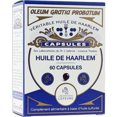 Haarlem Huile Caps 60