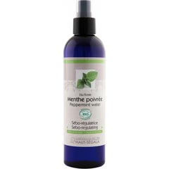 Haut-Segala Eau Flor Ment Poi250ml