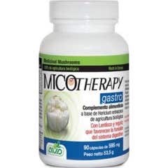 Avd Micotherapy gastro 90 caps