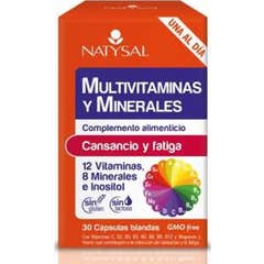 Natysal Multivitamin Mineral 30 Kapseln Natysal Multivitamin Mineral 30 Kapseln