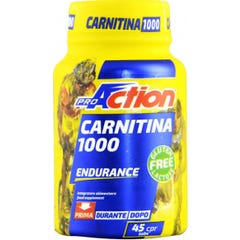 Aktion Carnitin 1000 45Cpr