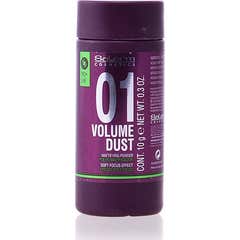 Salerm Volumen-Staub Mattierungspuder 10g