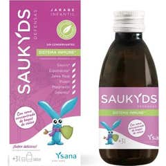 Ysana Saukyds Defensas 140ml