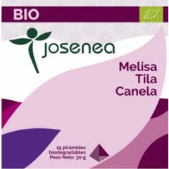 Josenea Melisa Tila Canela BIO 15 pirámides en sobre