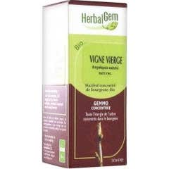 Herbalgem Concentrados de Vid macerados Virginia Vine 30 ml