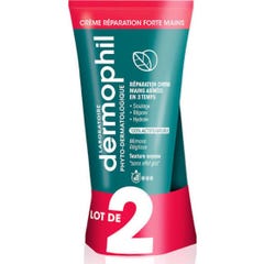Dermophil Phyto Main Rep Forte75X2