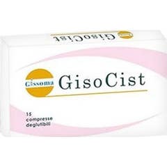 Gissoma Gisocist 15comp