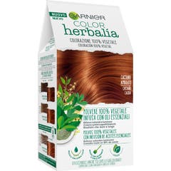 Garnier Color Herbalia Castaño Caoba 1ud
