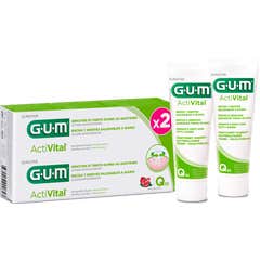Gum Duplo Pasta Activital Gum Duplo