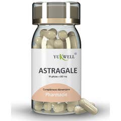 Yukwell Astrágalo 90 Perlas