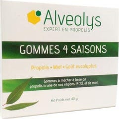 Alveolys gom 4 Sais Eucalipto 40 g