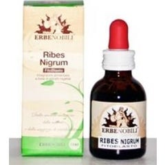 Fitoblasto Ribes Nigrum 50Ml