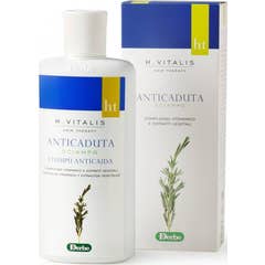 Derbe Humusvitalis Champú Anticaída 200ml