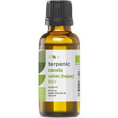 Terpenic Aceite Esencial Canela Ceilán Hojas 30ml