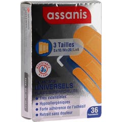 Assanis Apósito Universal 3 Tallas 36 uds