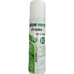 Le Comptoir du Bio Bruma Aloe Vera 175ml