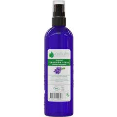 Voshuiles Hidrolato Lavanda Cosmos 100 ml