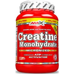 Amix Creatine Monohydrate 750g