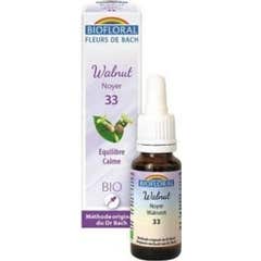 Biofloral Elixir Walnut 20ml