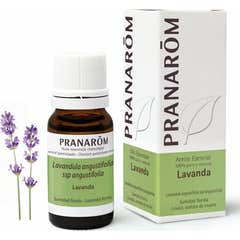 Pranarôm Lavender essential oil 10ml Pranarôm Lavender essential oil 10ml