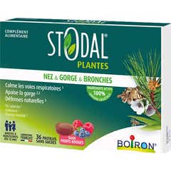 Stodal Plantas Nariz & Garganta & Bronquios Frutos Rojos 36comp
