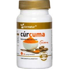 Plannatur Turmeric 95% 30comp