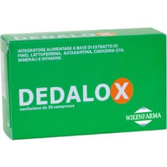 Dedalox 30 Vorlauf