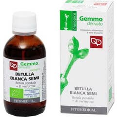 Fitomedical Abedul Blanco Linfa Glicerina Macerada Bio 100ml